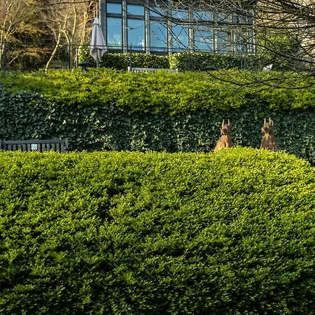 Hotell Guesthouse Heidelberg Suites 5*