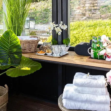 Guesthouse Heidelberg Suites Hotel Heidelberg